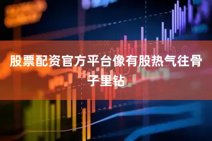 股票配资官方平台像有股热气往骨子里钻