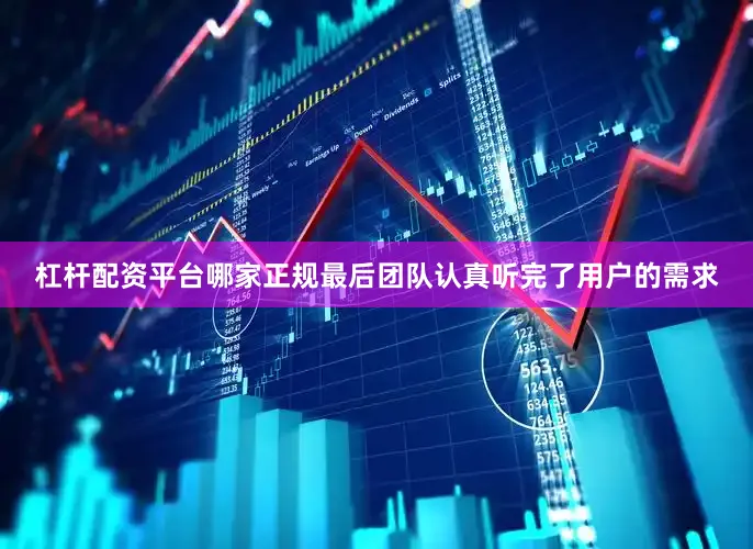 杠杆配资平台哪家正规最后团队认真听完了用户的需求