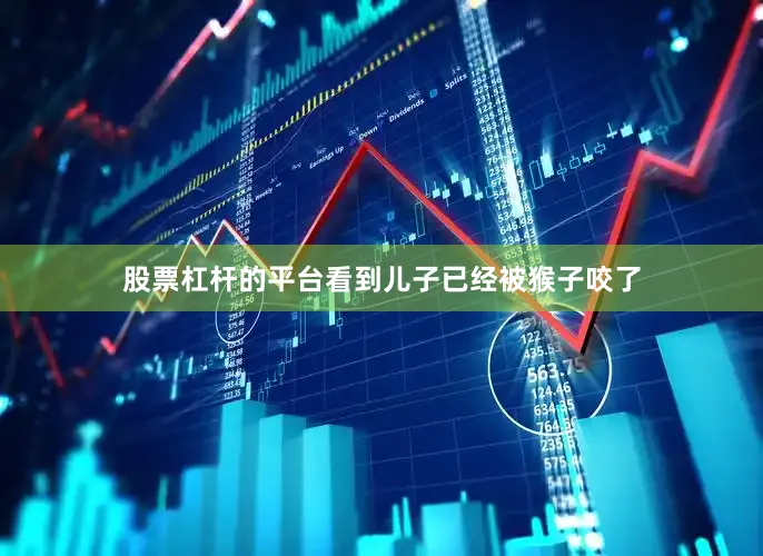 股票杠杆的平台看到儿子已经被猴子咬了